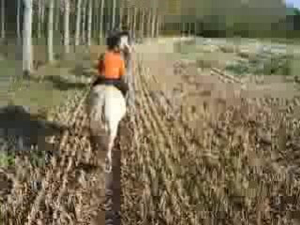 nous o galop