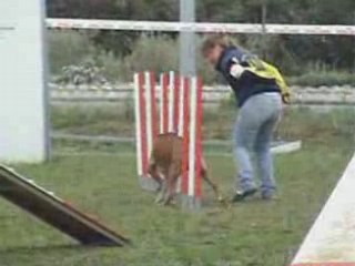 Alonzo-GPF-pradet-19-10-08