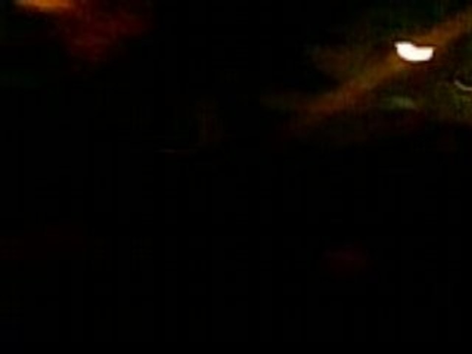 Vidéo006