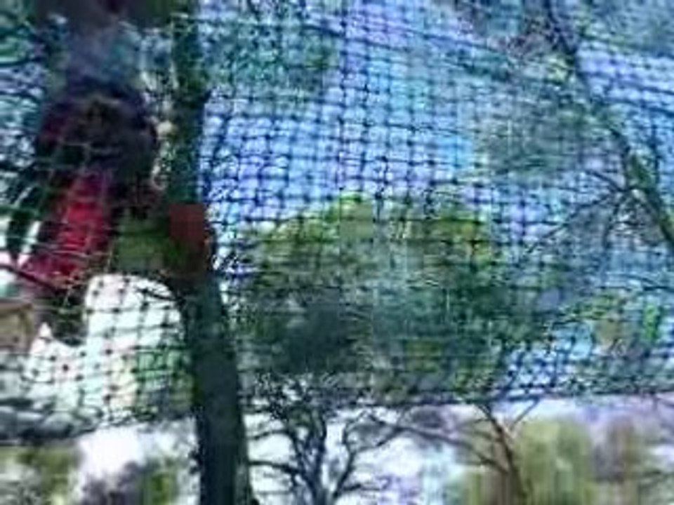 Initiation accrobranches enfants près Montpellier