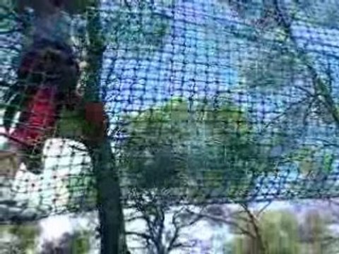 Initiation accrobranches enfants près Montpellier