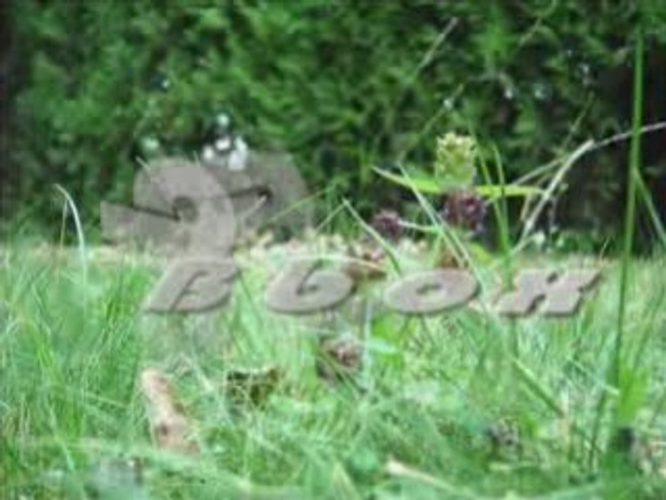 Bbox (Francois Ville)