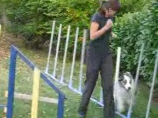 Lenaic et fidi 1(1) GRANGETTE TRAINING