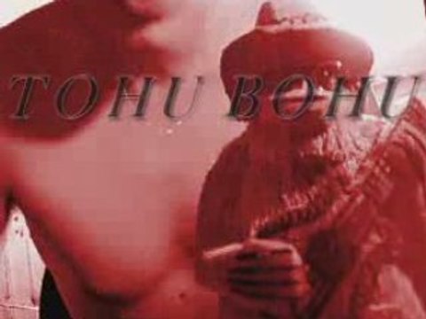 Tohu Bohu (Francois Ville)