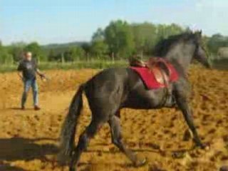 348_147; Urugay, travail en longe