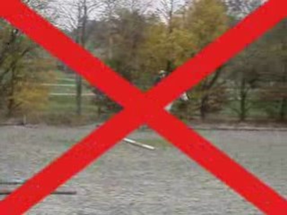 Séance mise en selle - 1