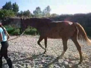 Electre ki se roule o bout d'une longe