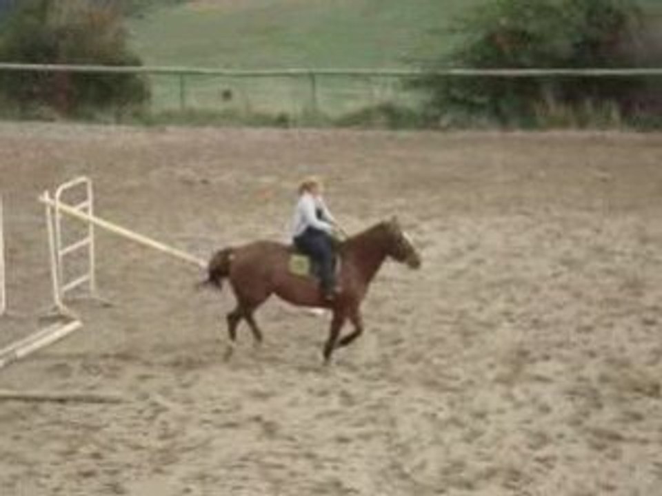 Saut ptite barrière blanche