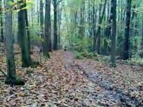 Petit délire en dirt xD