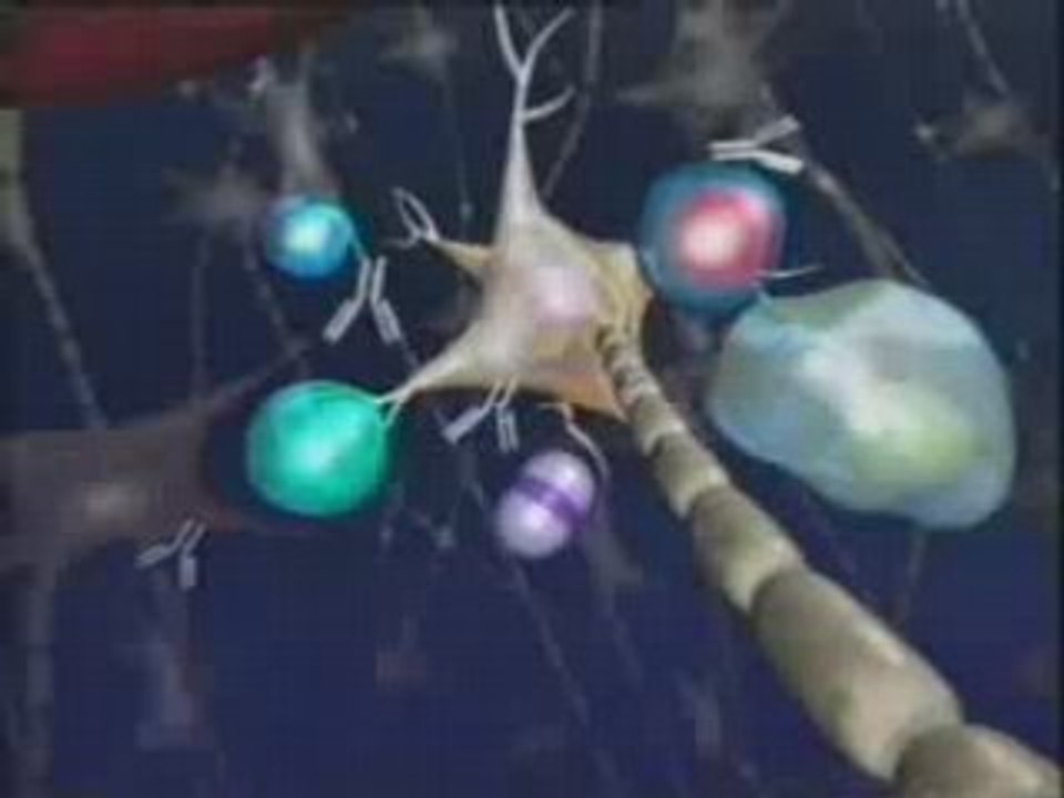 Patogenia de la Esclerosis Multiple