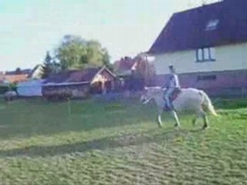 Chaudasse x)