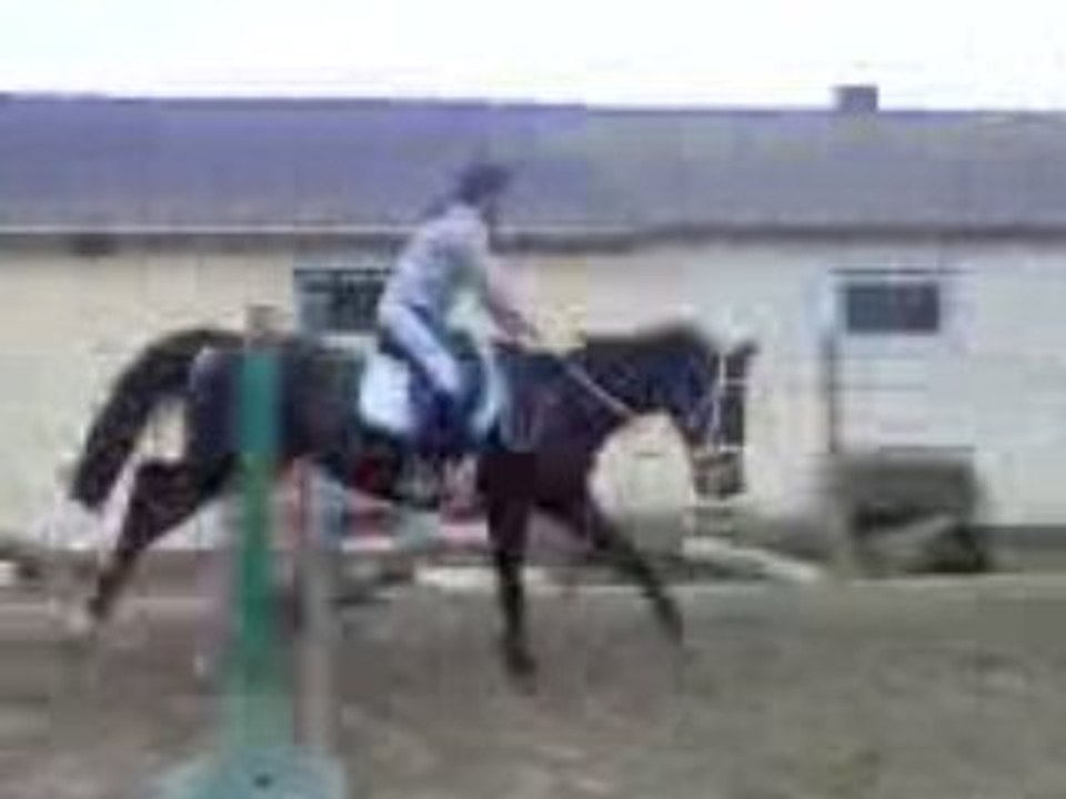 KAMI et moi entrain de sauter