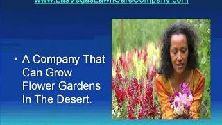 Las Vegas Lawn Service and Landscaper