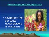 Las Vegas Lawn Service and Landscaper