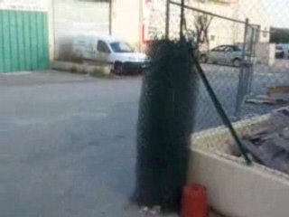 Alvin skater a 2 balles & moi.