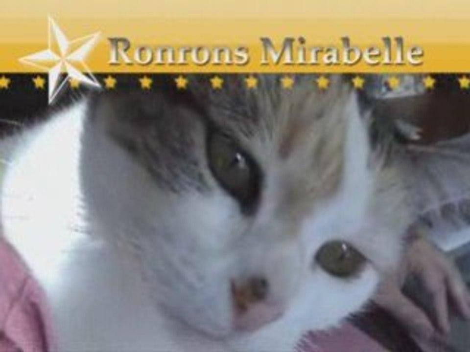Ronronsmirabelle