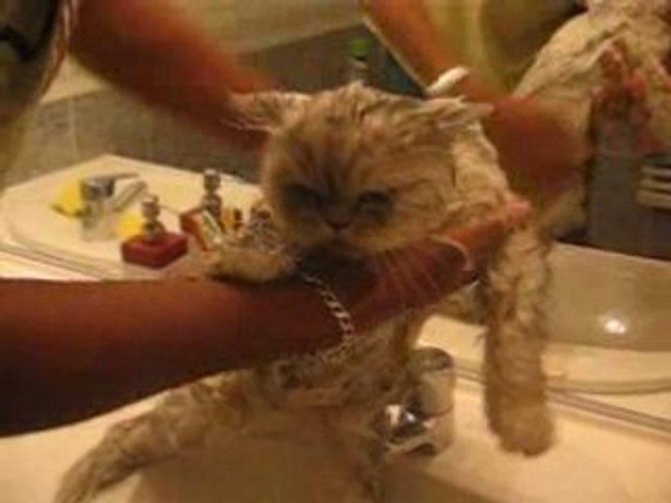 Birdy à la douche