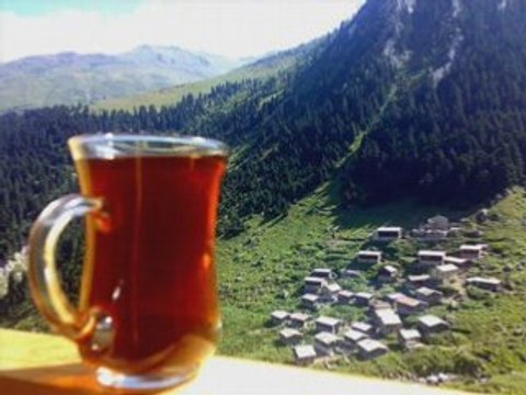 Amlakit YAYLASI-efkan şeşen-hemşin yaylaları kavrun.tr.gg