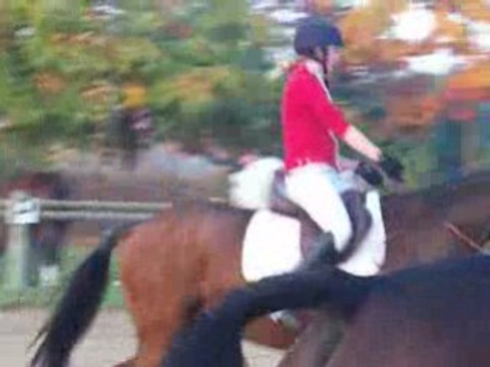 Daphné detente ac lulu