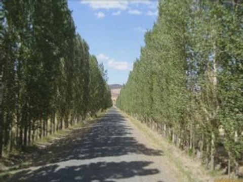 Sivas Zara Nasır Köyü 2008