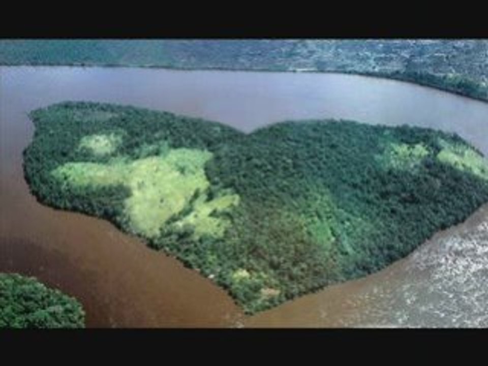 Dogumgunun kutlu olsun