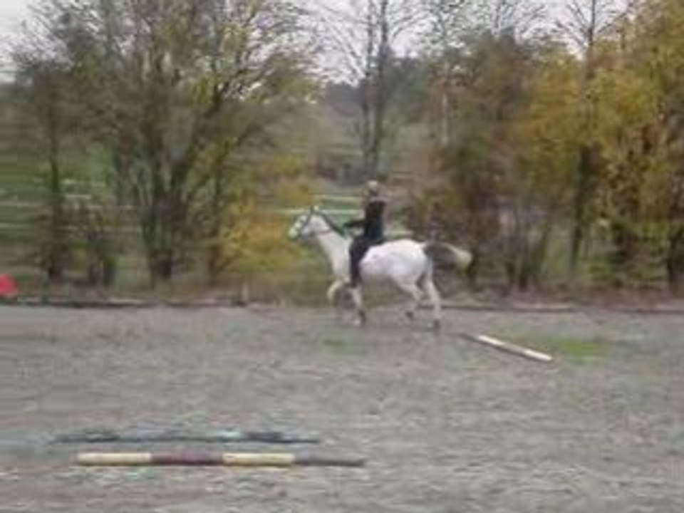 Mise en selle ( 2 )