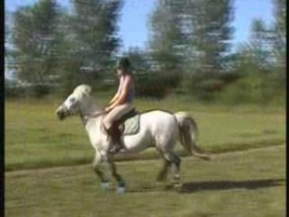 5-Video