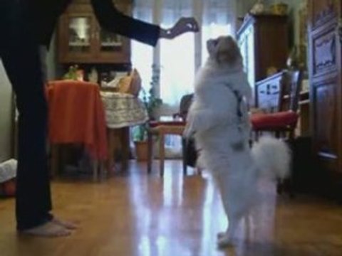 Noschiro obé-rythmée octobre 2008