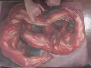 Í,C&S Parte II TimeLapse 3-H.264 100Kbps Streaming