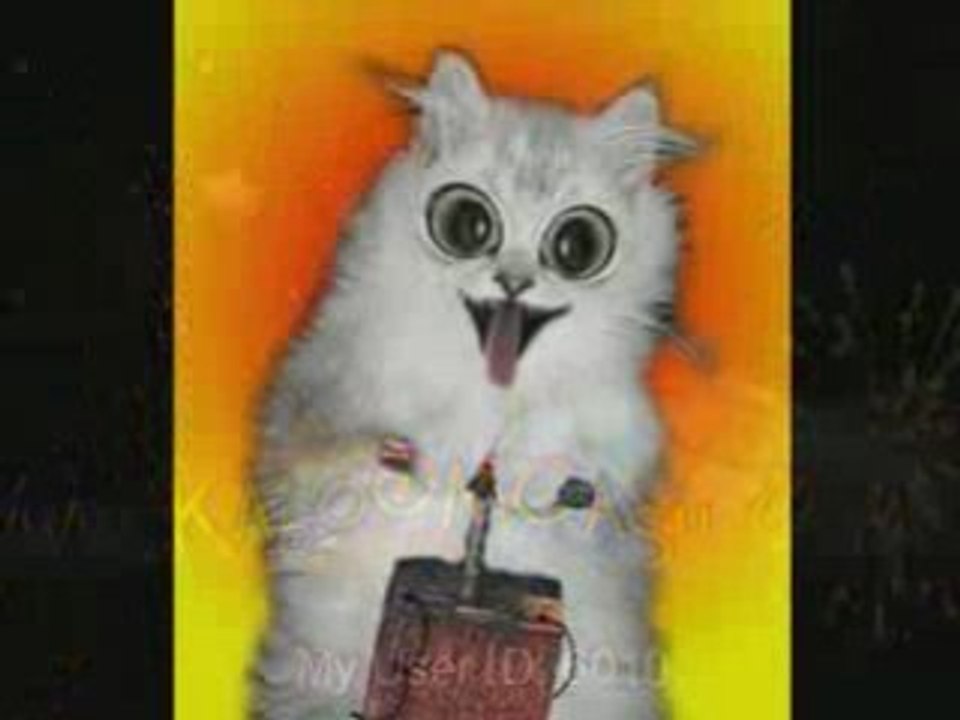 Cash Gifting with The Cash Leveraging System