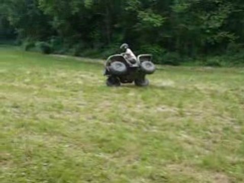 Freestyle quad grizzly