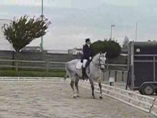 Elegido B concours de dressage  critérium de normandie