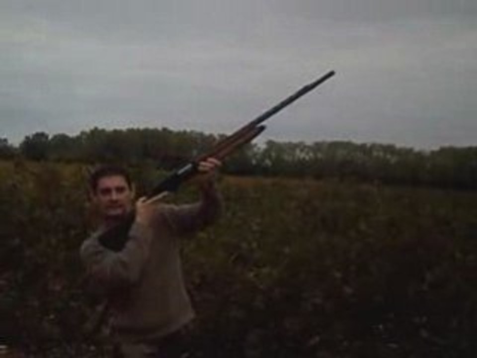 la chasse aux pébronas