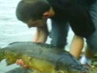 carpe sur les cannes a thomas