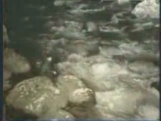 Cengiz Kurtoglu Seviyorum