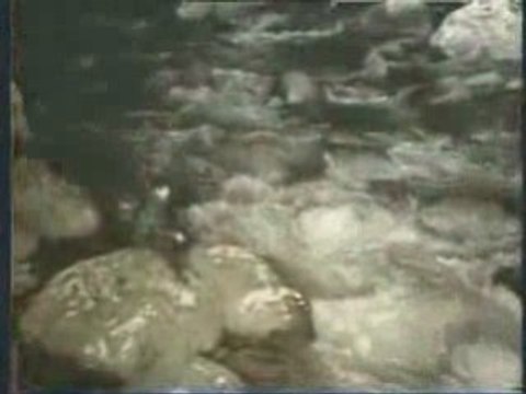 Cengiz Kurtoglu Seviyorum