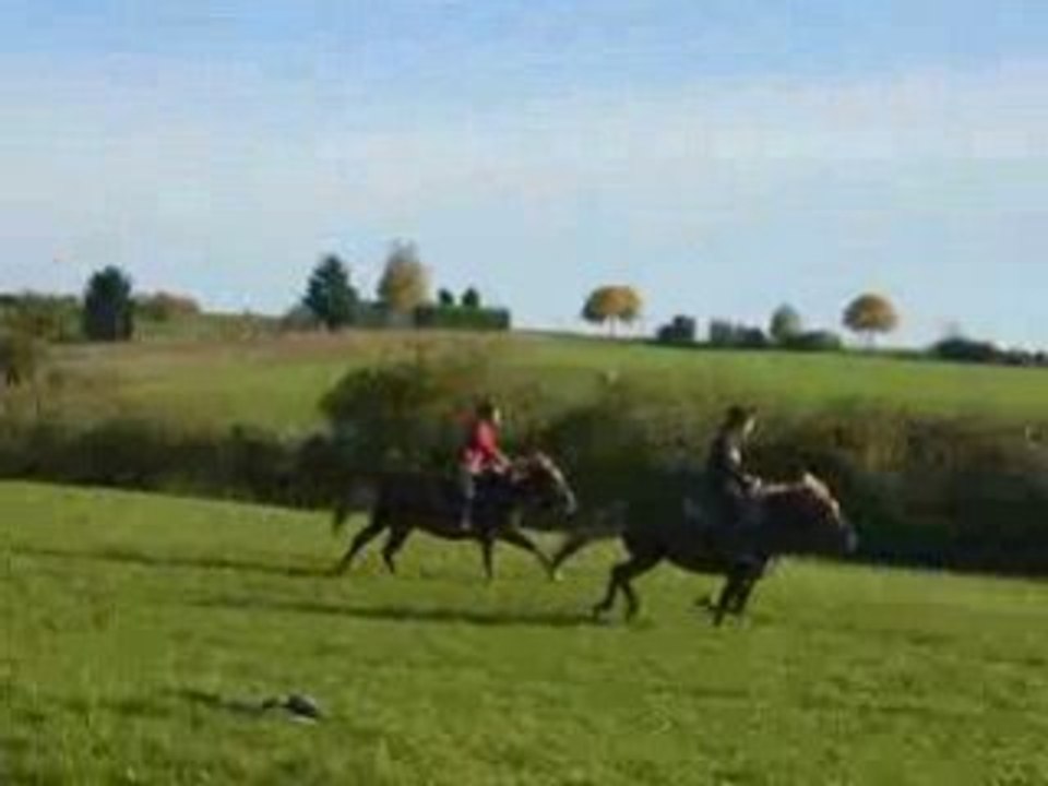 Course Olina VS Pilou