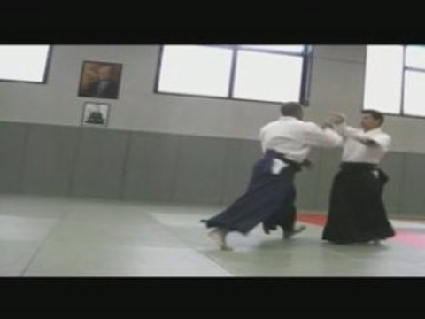 Irimi nage projection aikido