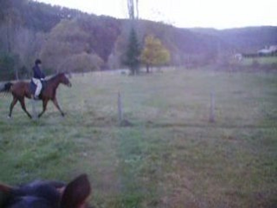 Photo 035