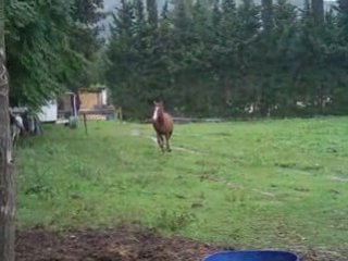 Folie délectre é sarah en zik