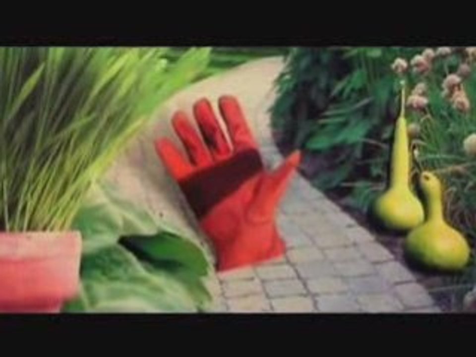 +SCRaTCHBaNDiCooT+