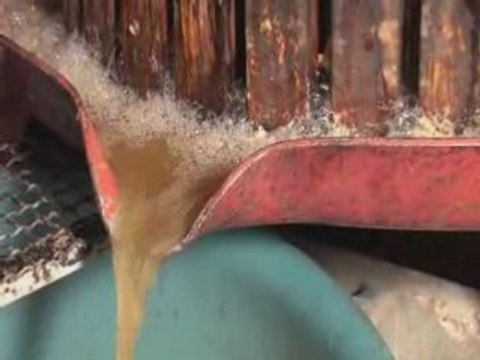 Naucelle : Marché des saveurs d'automne