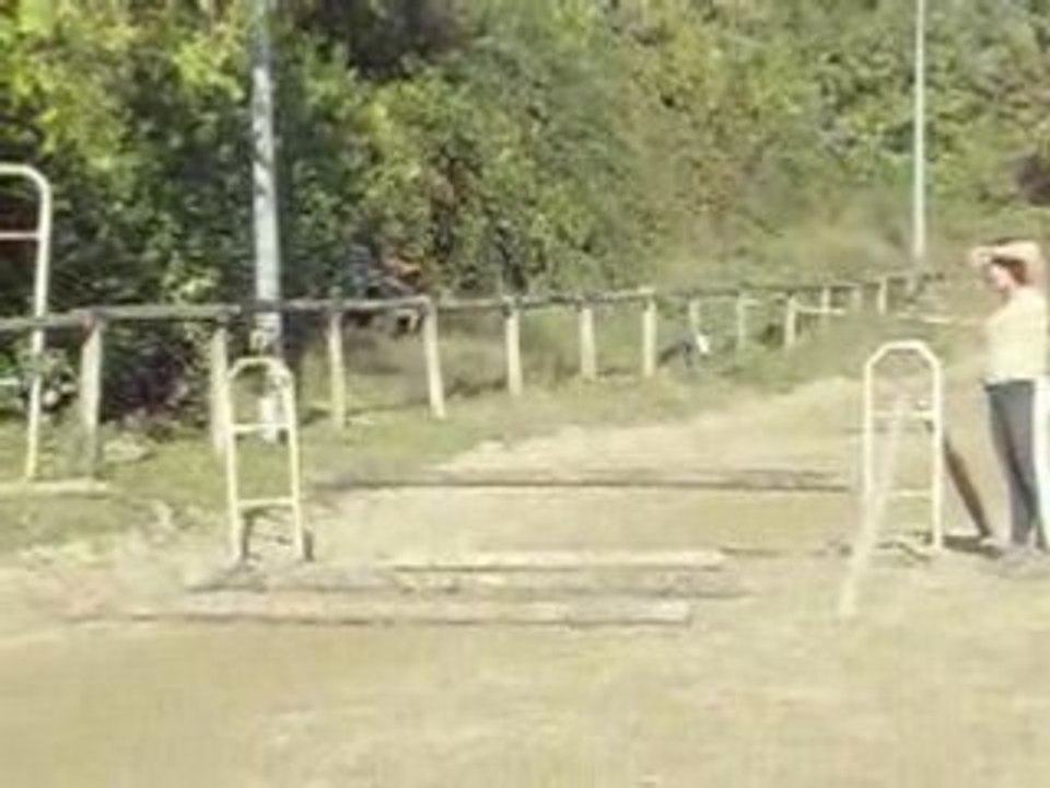 Saut vrai