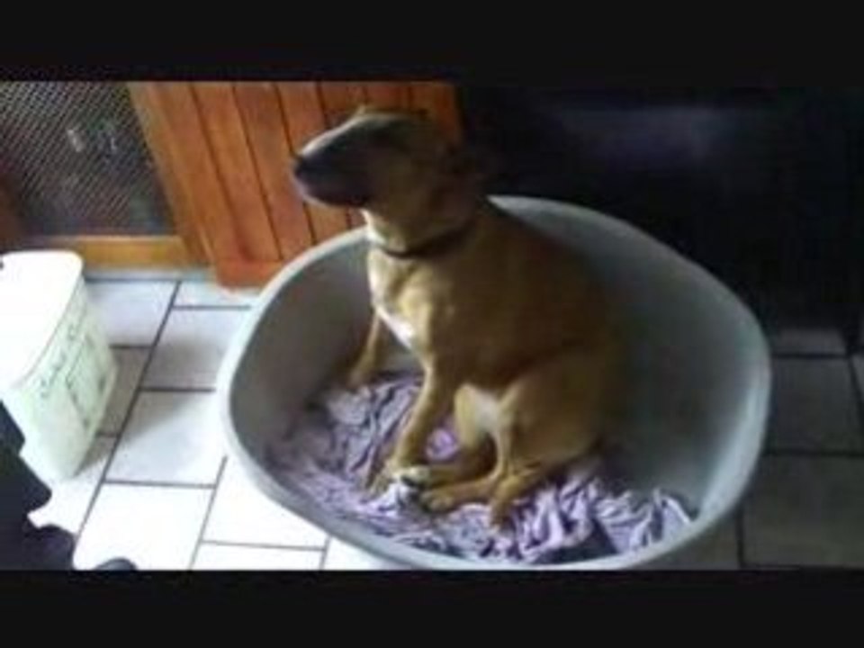 oxane dans son panier