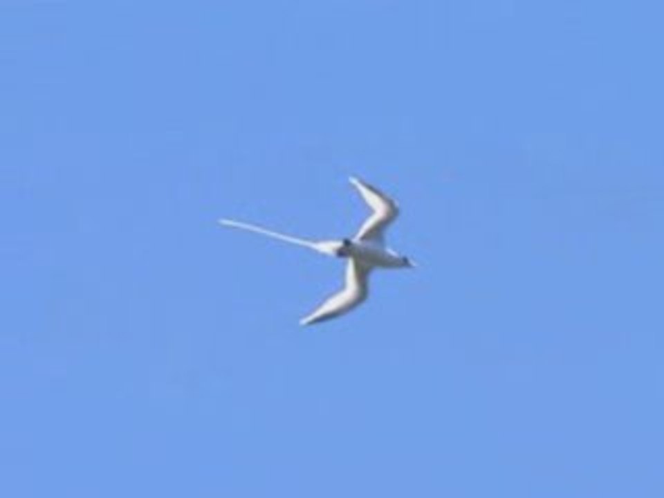 dj dan mixtape ker maron 974