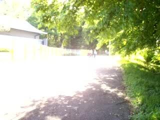 moi avec poket bike sm