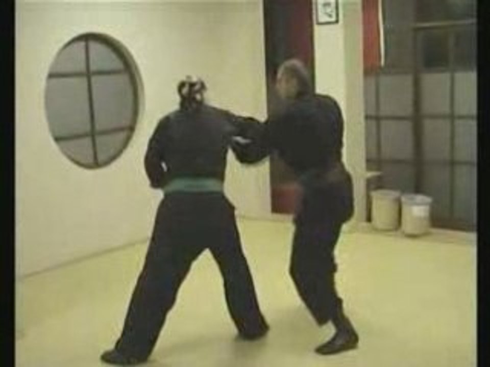 Bujinkan Turkey training clips