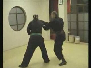 Bujinkan Turkey training clips
