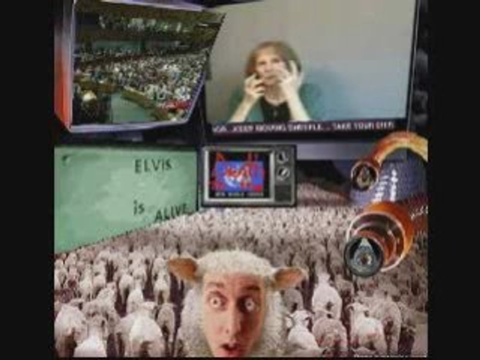Nwo sheeple
