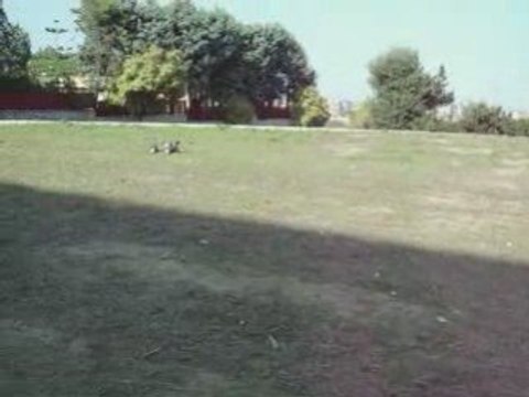 Hpi Savage X with Axial .28RR Bashing (3)